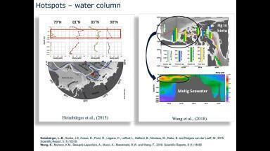 Processes Affecting Mercury Transformation and Biotic Uptake in the Arctic